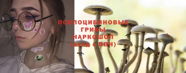 спиды Алексеевка