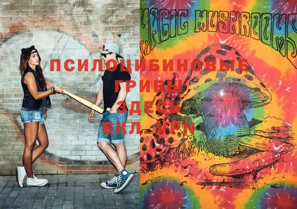 ALPHA PVP Корсаков
